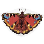 S jednim konopcem Zmaj Günther Flugspiele Raspon 920 mm ATT.FX.WIND_FORCE_SUITABILITY 3 - 6 bft