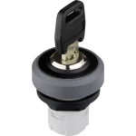 Prekidač s ključem RKSSA25 Schlegel antracit, 1 kom.