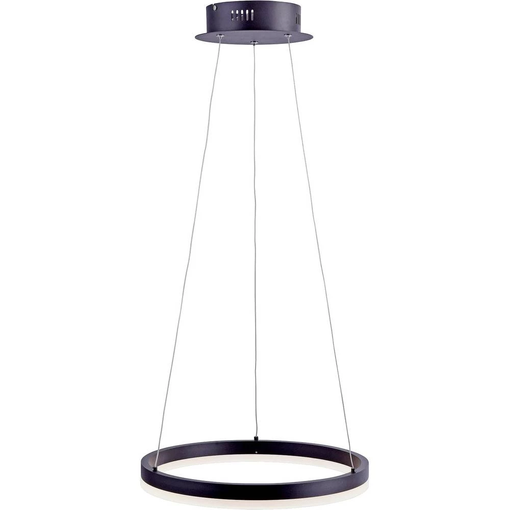 LED viseća svjetiljka 34 W Toplo-bijela Paul Neuhaus TITUS 2381-13 Antracitna boja slika