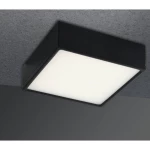 ECO-Light LED-KLIO-Q11 NER LED-KLIO-Q11 NER stropna svjetiljka crna 16 W neutralna b