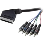 SCART / Činč TV, prijemnik (receiver) priključni kabel [5x činč utikač => 1x SCART-utikač] 2.50 m crn