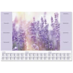 <br>  Sigel<br>  HO308<br>  podloga za pisanje<br>  mirisna lavanda<br>  3-godišnji kalendar <br>  ljubičasta<br>  (Š x V) 59.5 cm x 41 cm<br>