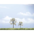 Paket stabla Brijestovi 60 Do 80 mm Woodland Scenics WTR1602 Svijetlozelena 2 ST slika