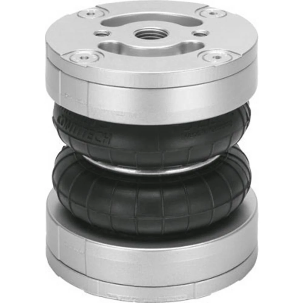 FESTO cilindar s mjehovima 2748904 EB-80-45 Materijal kućišta: lijevani aluminij  1 St. slika