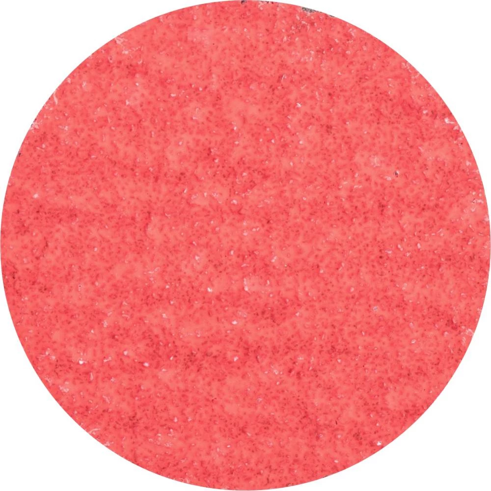 PFERD 42778505 mala brusilica za vlakna Ø 50 mm Granulacija 50 100 St. slika