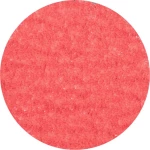 PFERD 42778505 mala brusilica za vlakna Ø 50 mm Granulacija 50 100 St.