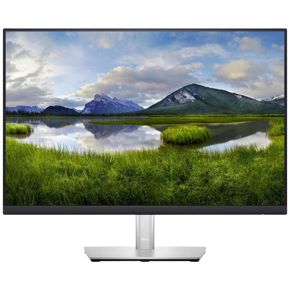 Dell P2423 Professional LED zaslon 61 cm (24 palac) Energetska učinkovitost 2021 D (A - G) 1920 x 1200 piksel WUXGA 5 ms DisplayPort, DVI, HDMI™, USB 3.2 gen. 1 (USB 3.0), USB-B, VGA IPS LED slika
