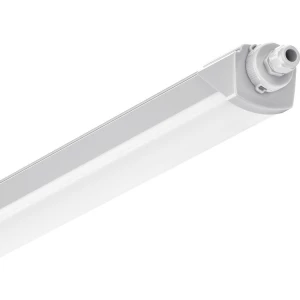 Trilux LED svjetiljka za vlažne prostorije LED 48 W bijela siva slika