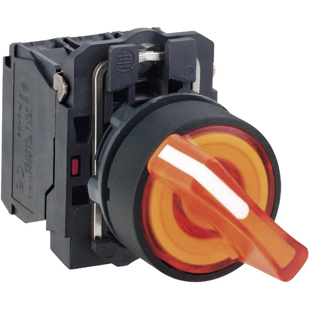 Prekidač za odabir Schneider Electric XB5AK125G5 1 ST slika