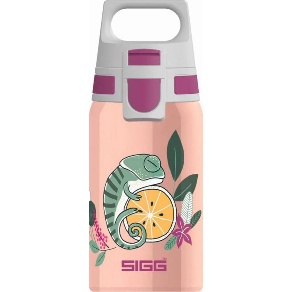 Vedes 9000.90 SIGG Shield One Flora 0,5 L slika