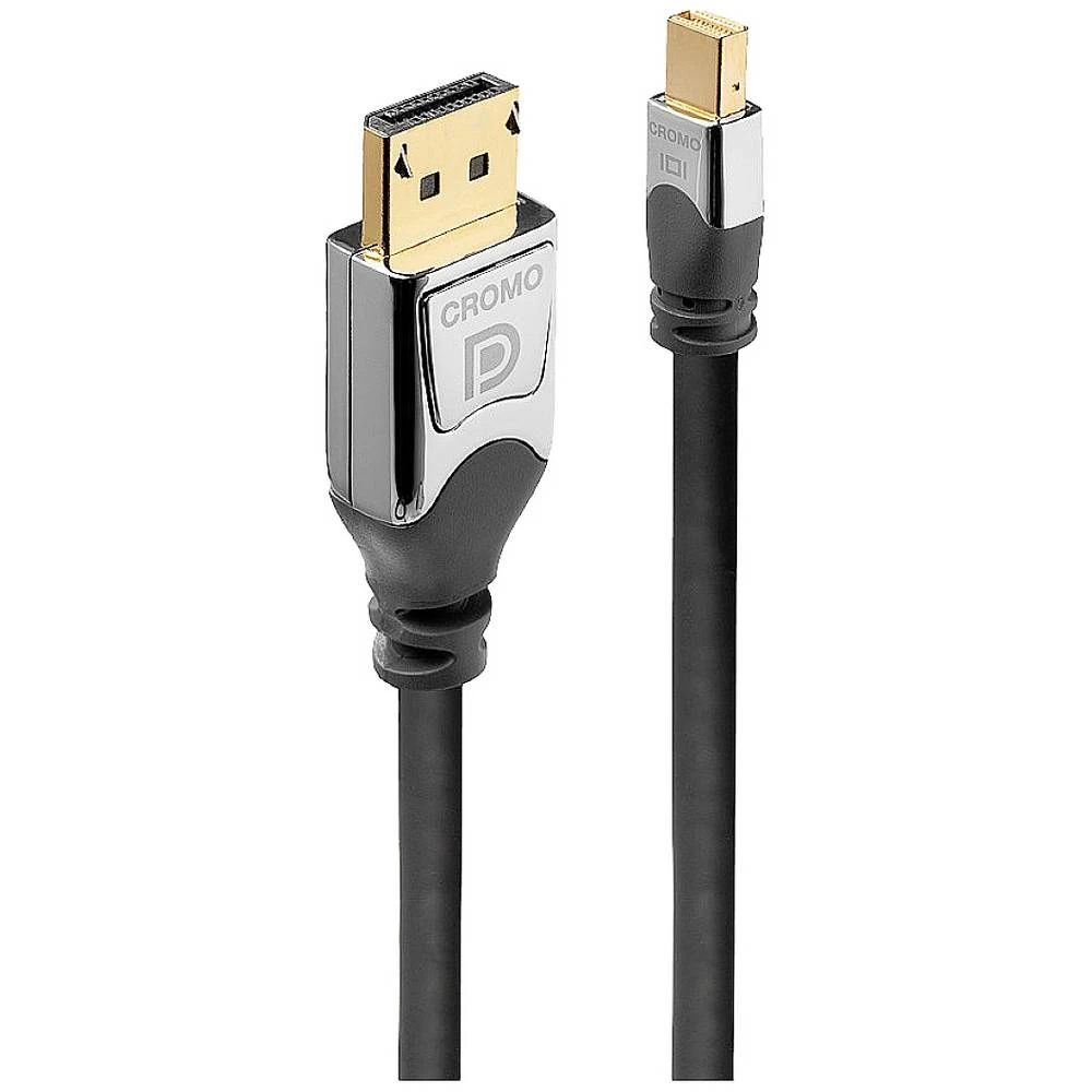 LINDY  priključni kabel Mini DisplayPort utikač, DisplayPort utikač 1 m siva 36311  DisplayPort kabel slika
