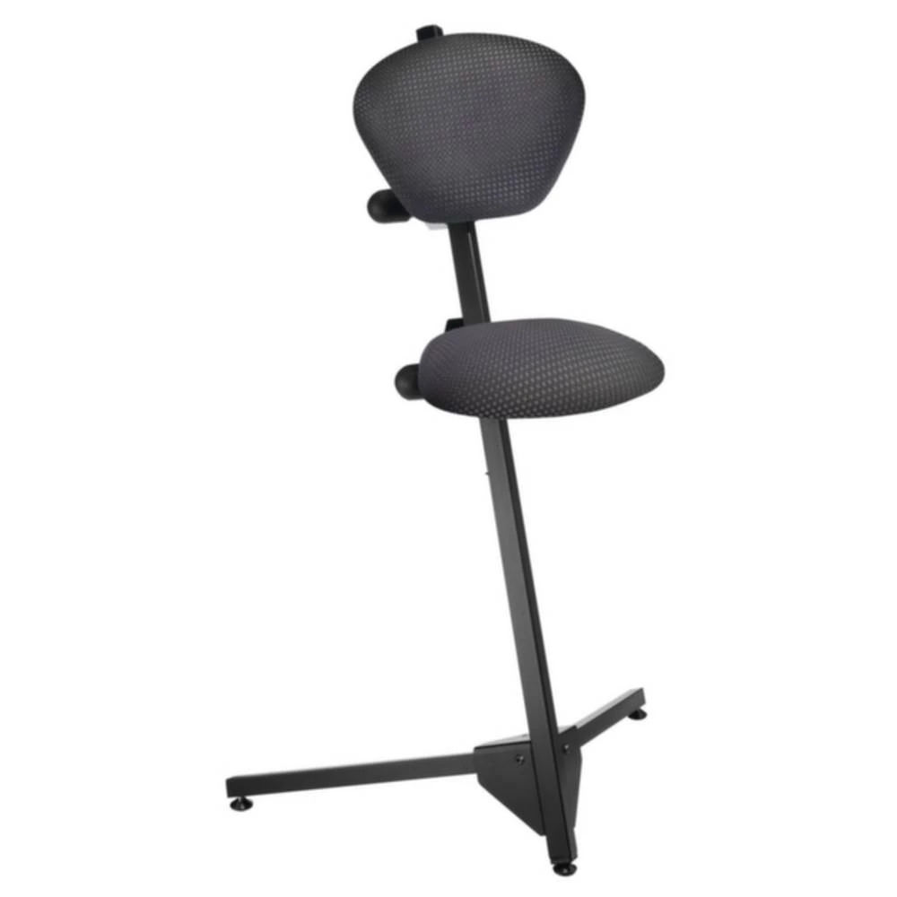 Kappes Pomoć za stajanje Čelik ErgoPlus 3000 8201.00.3415 slika