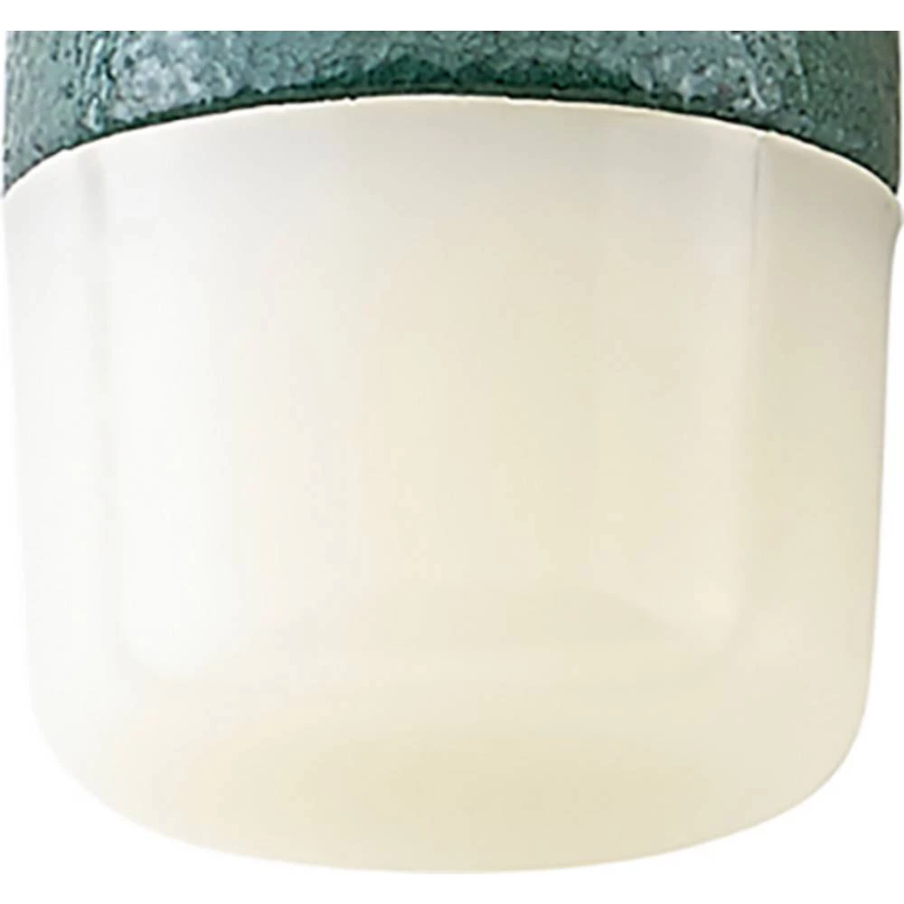 Stahlwille 10956R 35 ERSATZ-NYLONKOPF ZU HAMMER NO. 10956 79050035 zamjenska glava 23 g kom. slika