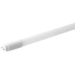 LED G13 Cjevasti oblik T8 KVG 9.5 W Toplo bijela (Ø x D) 27.5 mm x 600 mm ATT.CALC.EEK: A+ (A++ - E) Megaman Uklj. zaštit
