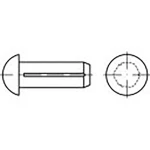 TOOLCRAFT TO-6865950 poluokrugli čavao s utorom mjed 200 St.