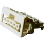 Adels-Contact 148655 mrežni utični konektor  žženski konektor, ravni Ukupan broj polova: 5 + PE 16 A bijela 100 St.