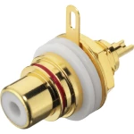 Monacor T-710GI cinch-ugradnja utičnica