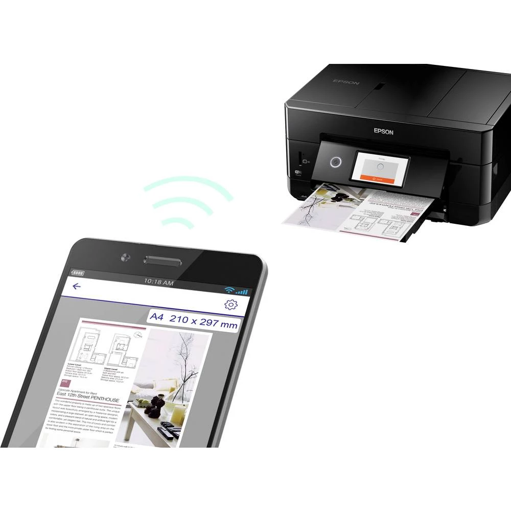 Conrad Product Image