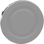 Schneider Electric ZB4FSZ3 slijepi čep plosnat    1 St.