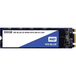 Unutarnji SATA M.2 SSD 2280 250 GB Western Digital Blue™ Maloprodaja WDS250G2B0B M.2 slika
