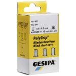Gesipa 1433701 slijepa zakivna matica 100 St.