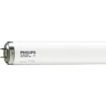 Philips Actinic UV svjetleće cijevi T8, 36W G13 TPX36-24 36W ravne 600m