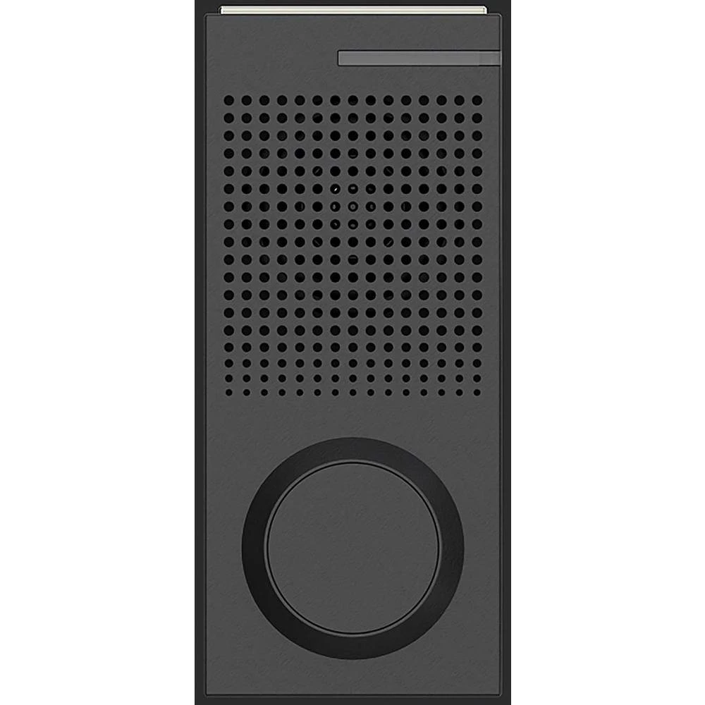 Link2Home Interfon za vrata Alexa, Google Home slika