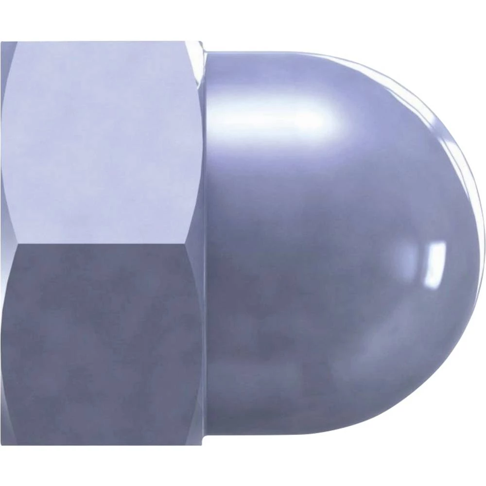Reisser 31786 matica s kapicom M10 50 kom. slika