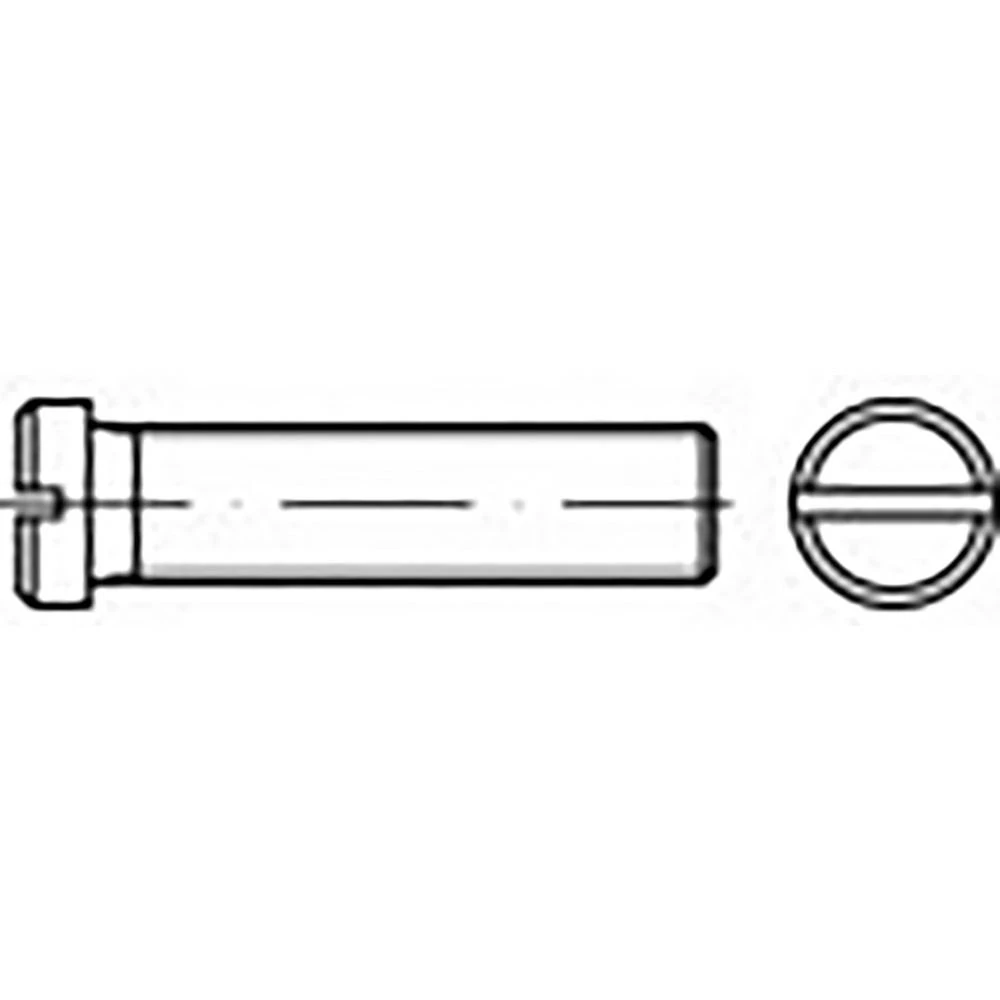TOOLCRAFT  TO-6857436 vijci s plosnatom glavom M4 10 mm utor DIN 920     100 St. slika