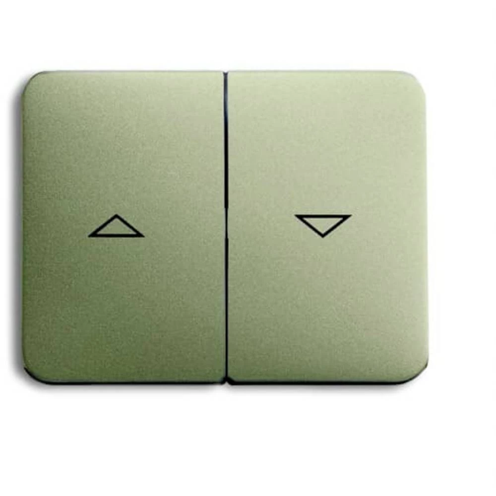 Busch-Jaeger  poklopac prekidač za žaluzine    2CKA001751A2831 slika