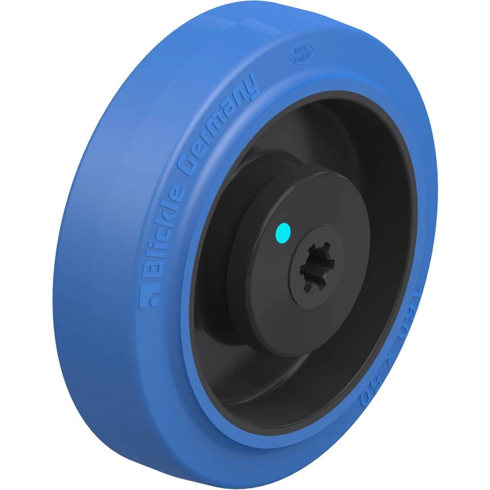 Blickle 598177 slika