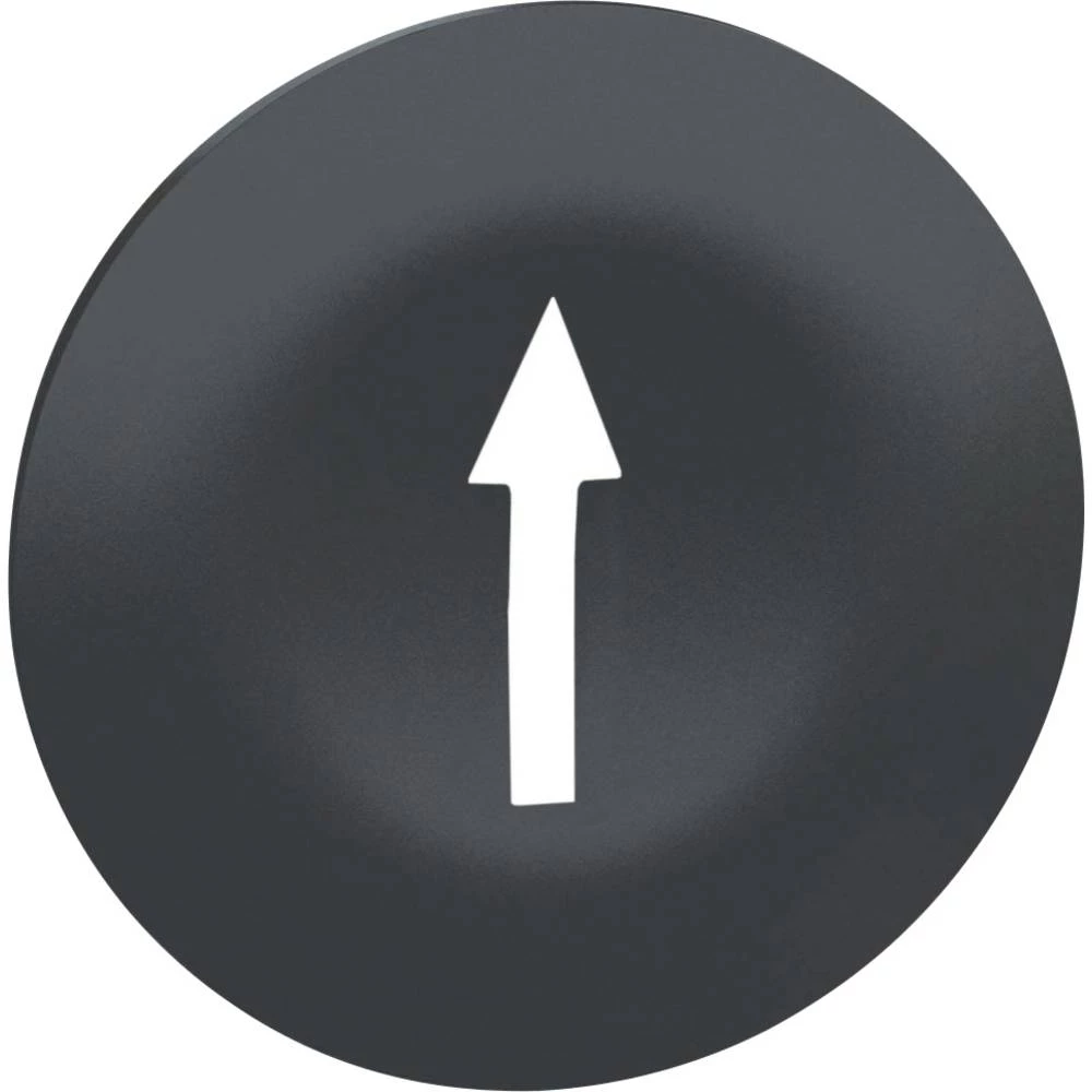 Schneider Electric ZBA7235 zaštitni kapa    crna 10 St. slika