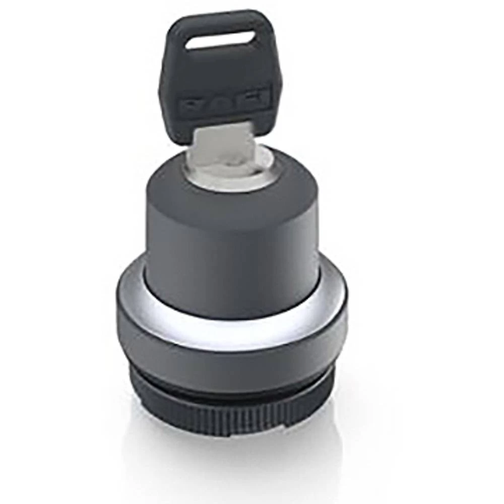 RAFI RAFIX 22 FS+ prekidač s ključem    1 x 90 °  1 St. slika