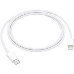 Apple iPad/iPhone/iPod/MacBook podatkovni kabel/kabel za punjenje [1x muški konektor Apple dock lightning - 1x muški kon