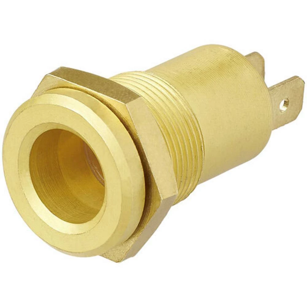 ProPlus Ugrađena utičnica za teške uvjete rada od mesinga DIN 12V slika