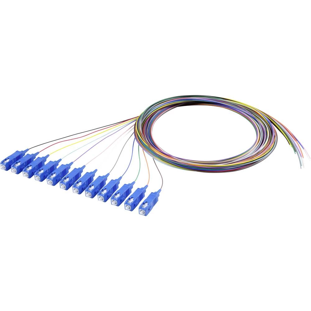 Svjetlovodni Pigtail Renkforce RF-3909398 12-bojno slika