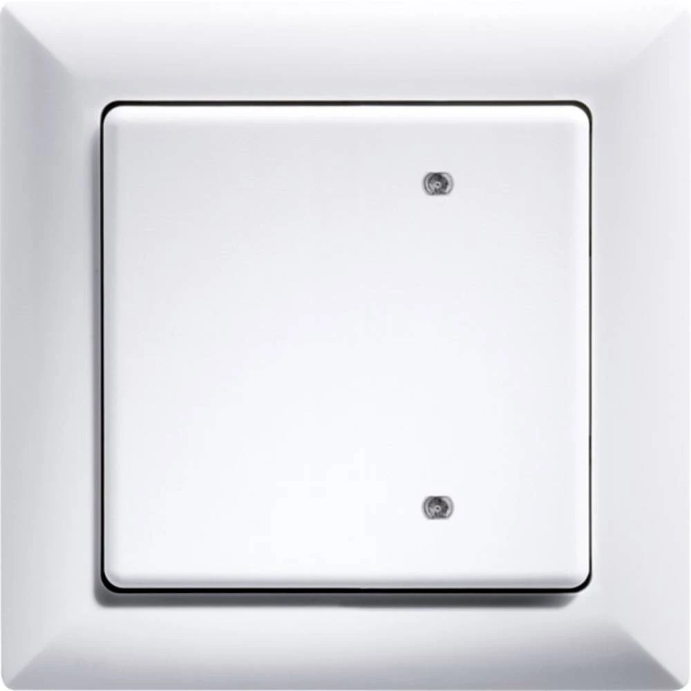 Eltako Kontroler B4T55-wg slika