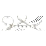 Ženski kontakt Harting 09670007237 1 ST