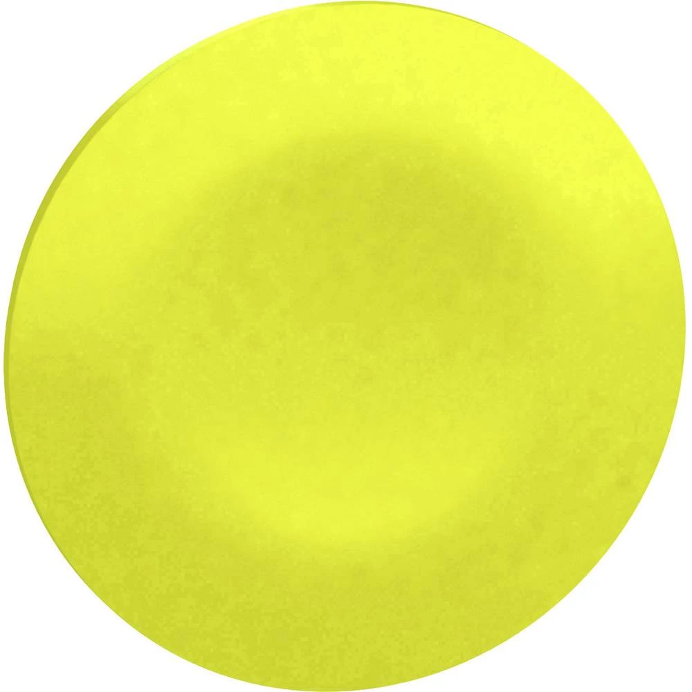 Zaštitna kapica Schneider Electric ZBA75 10 ST slika