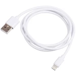 Akyga USB kabel  USB-A utikač, Apple Lightning utikač 1 m   AK-USB-30