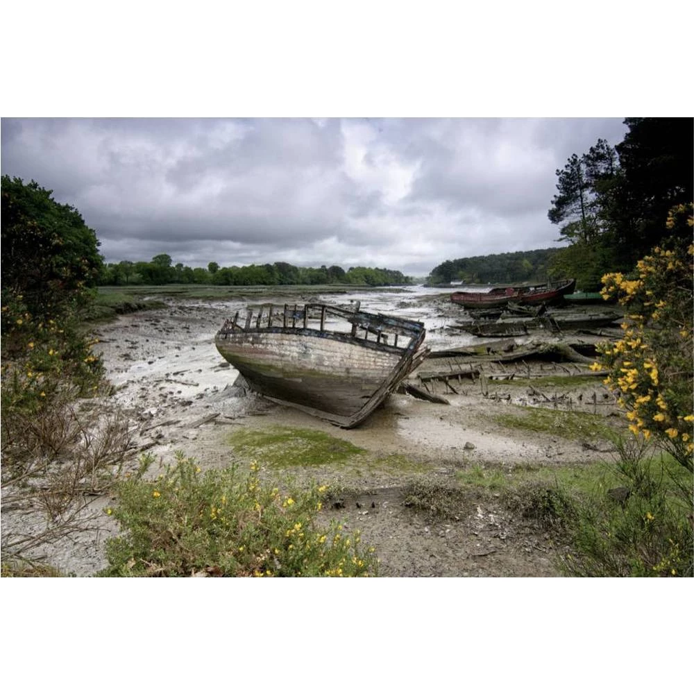 Cokin WA1T121F WA1T121F filter za efekte 62 mm slika