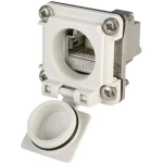 Telegärtner 100022953 STX V6 RJ45 set prirubnica varijanta 6 100022953 spojnica, ugrađeni polovi: 8P8C svijetlo siva 1 kom.
