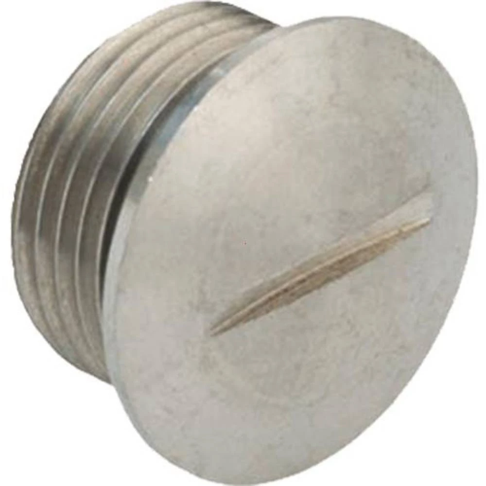 Kaiser Elektro 8717.96.11.08 slijepi vijak M16 metal 1 St. slika