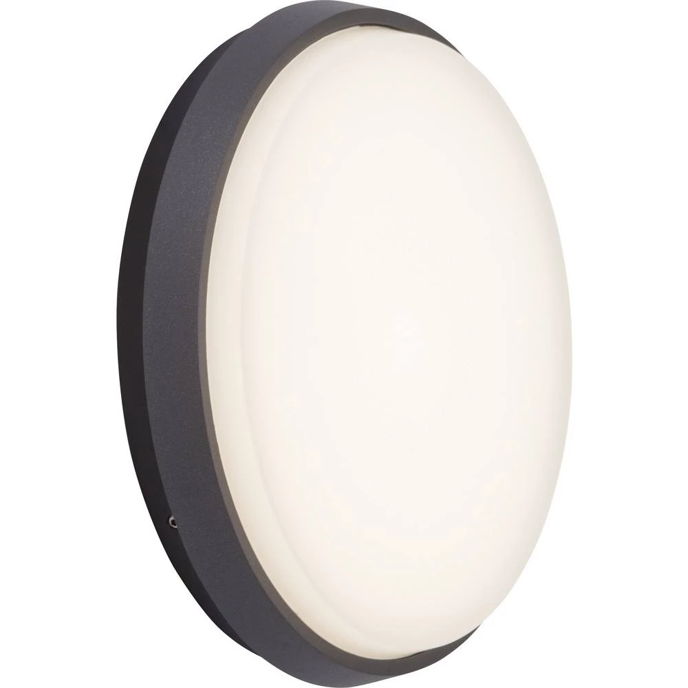 AEG Letan AEG280006 LED vanjsko zidno svjetlo Energetska učinkovitost 2021: F (A - G) 20 slika