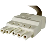 Adels-Contact 16625510 mrežni priključni kabel slobodan kraj - mrežni konektor Ukupan broj polova: 4 + PE bijela 1.00 m 30 St.