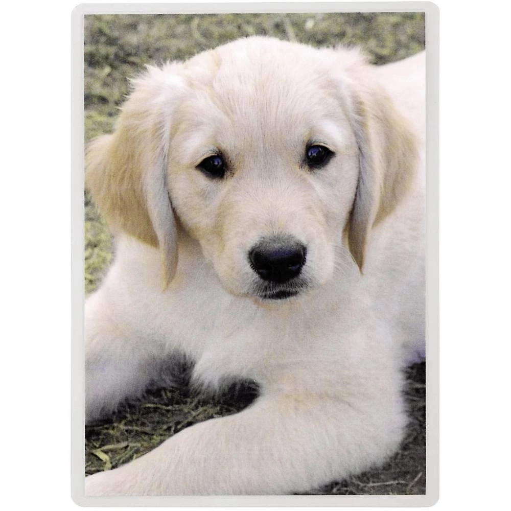 Folija za plastificiranje Hama DIN A6 80 mikrona 100 kom. slika