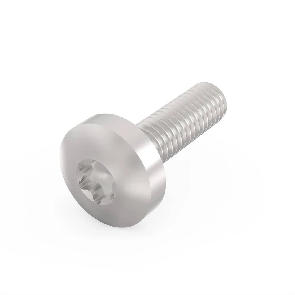 SCHROFF vijak s ravnom glavom i TX - TXSCHR M4X14 (100KOM) Schroff 24560130 19 palac montažni materijal slika