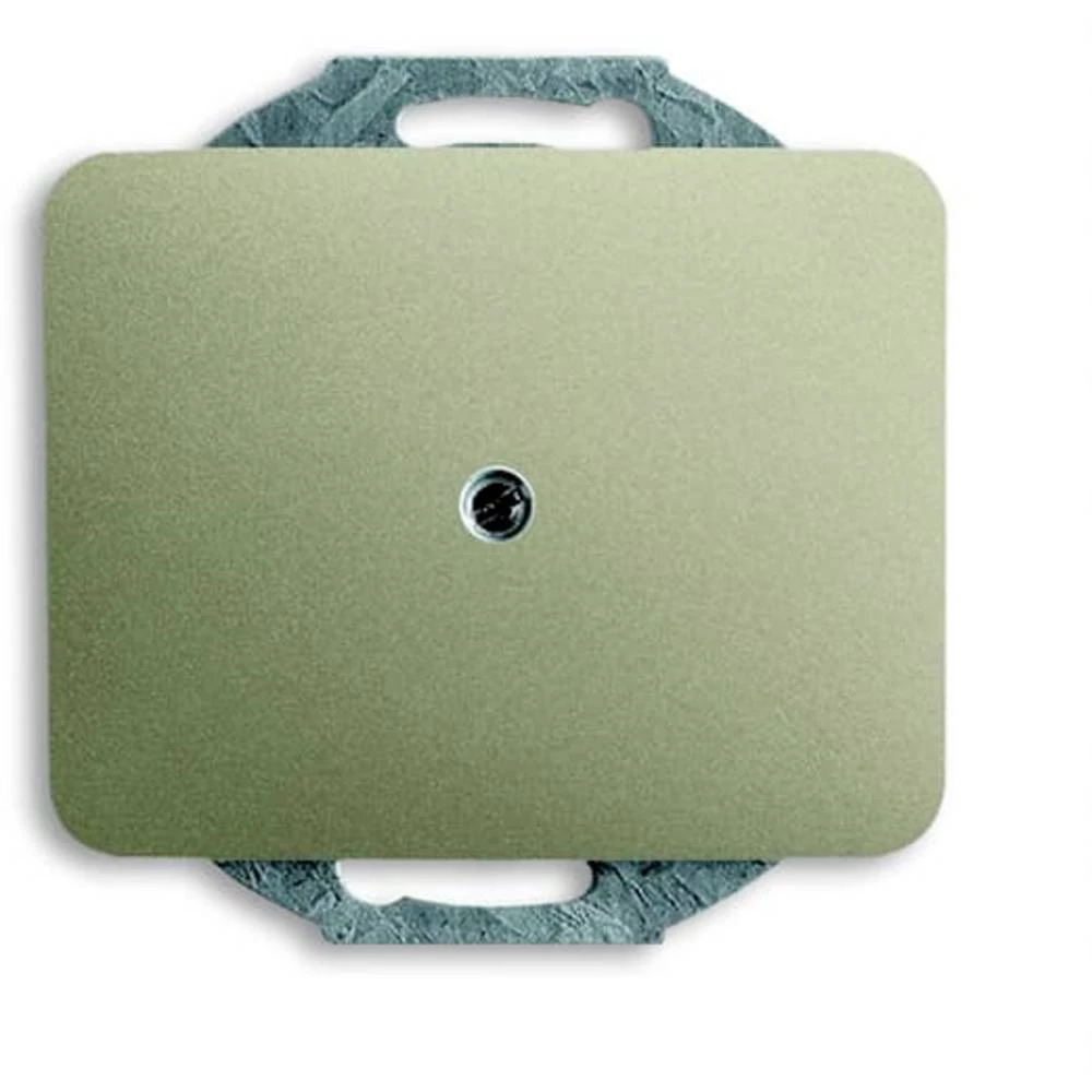 Busch-Jaeger  poklopac     2CKA001710A3316 slika