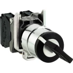 Prekidač s ključem Schneider Electric XB4BG03 1 ST