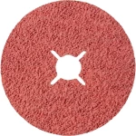 Rhodius 307096 vlaknasti disk promjer 125 mm Promjer bušotine 22.23 mm nehrđajući čelik, čelik 1 St.